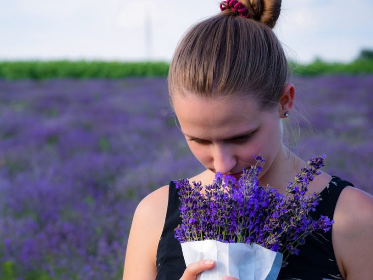 Jelena Radonjić Jokić – Moja priča o lavandi